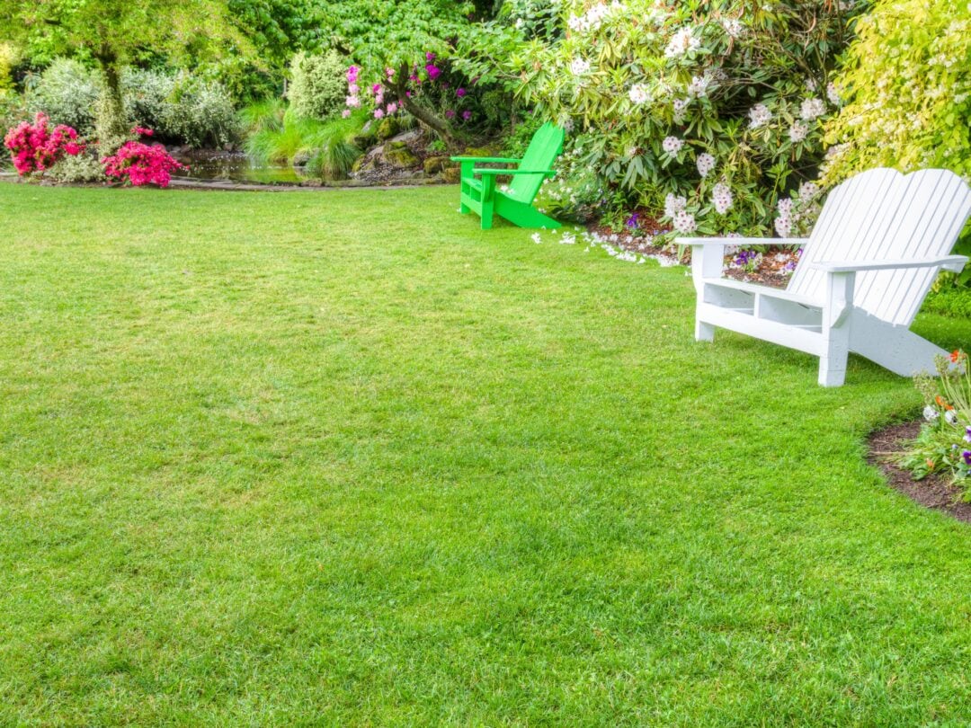 Small backyard grass area surrounded by shrubbery and two lawn chairs.