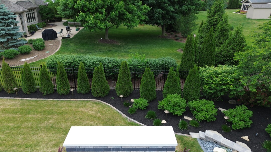 Landscape photo of the edge of a yard featuring multiple trees pressed against a black fence atop a mulch bed. The top of a concrete slab can be seen at the bottom of the photo.