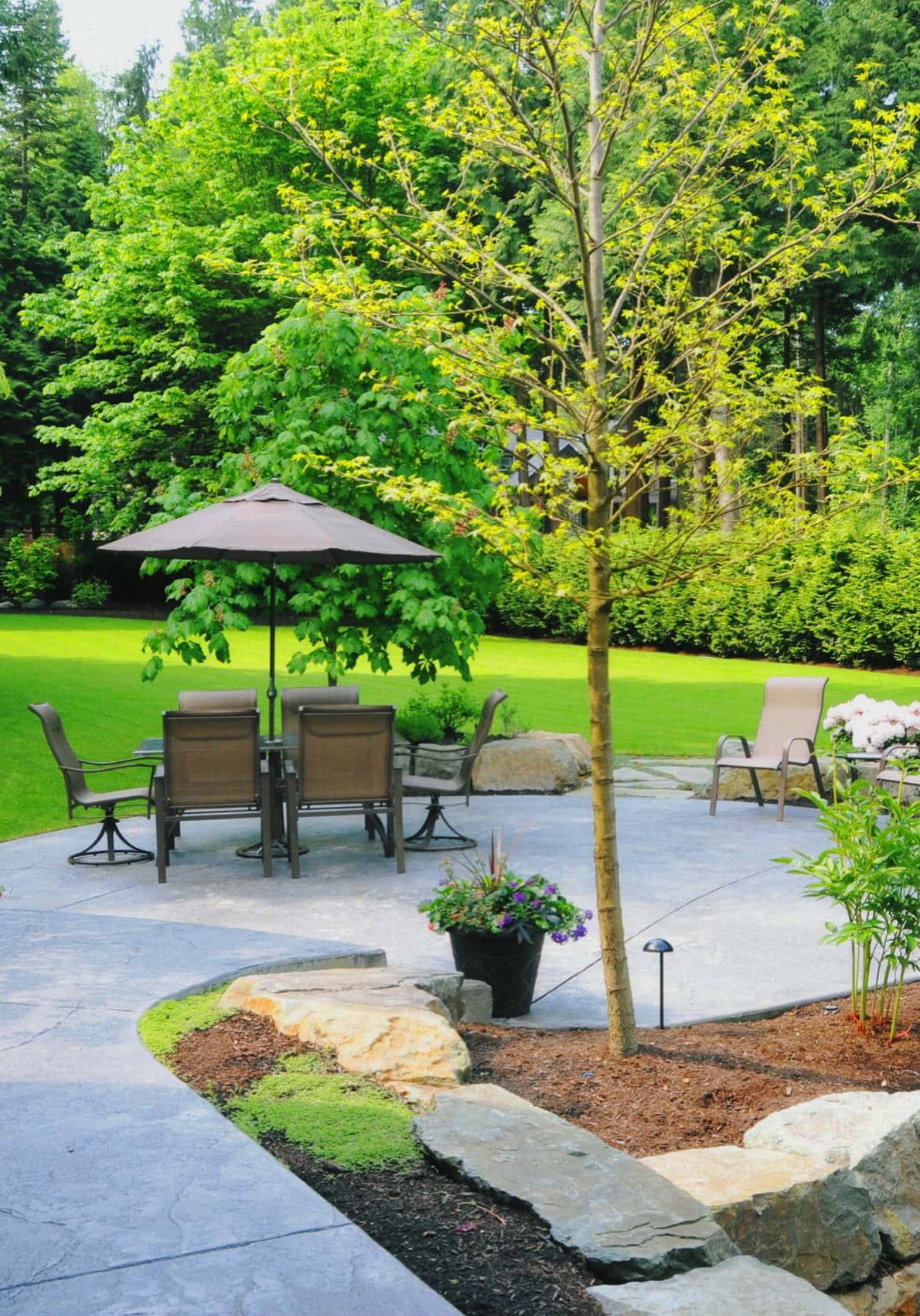 Landscaped Back Yard